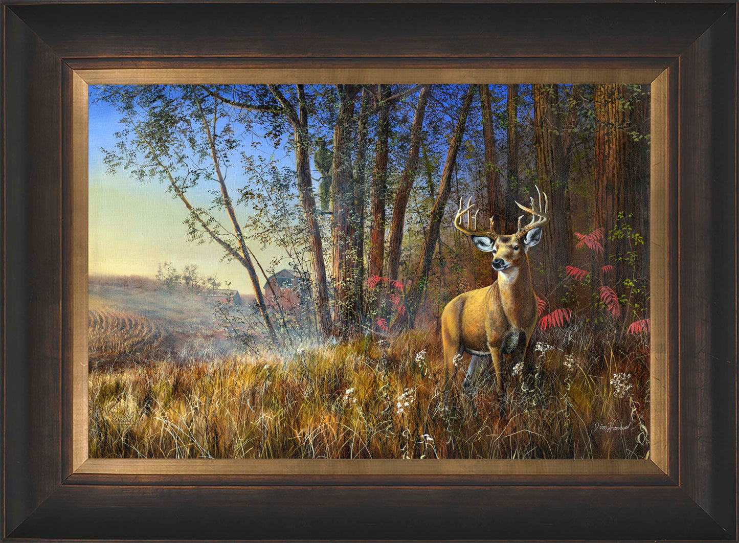 Misty Morning - Limited Edition Canvas