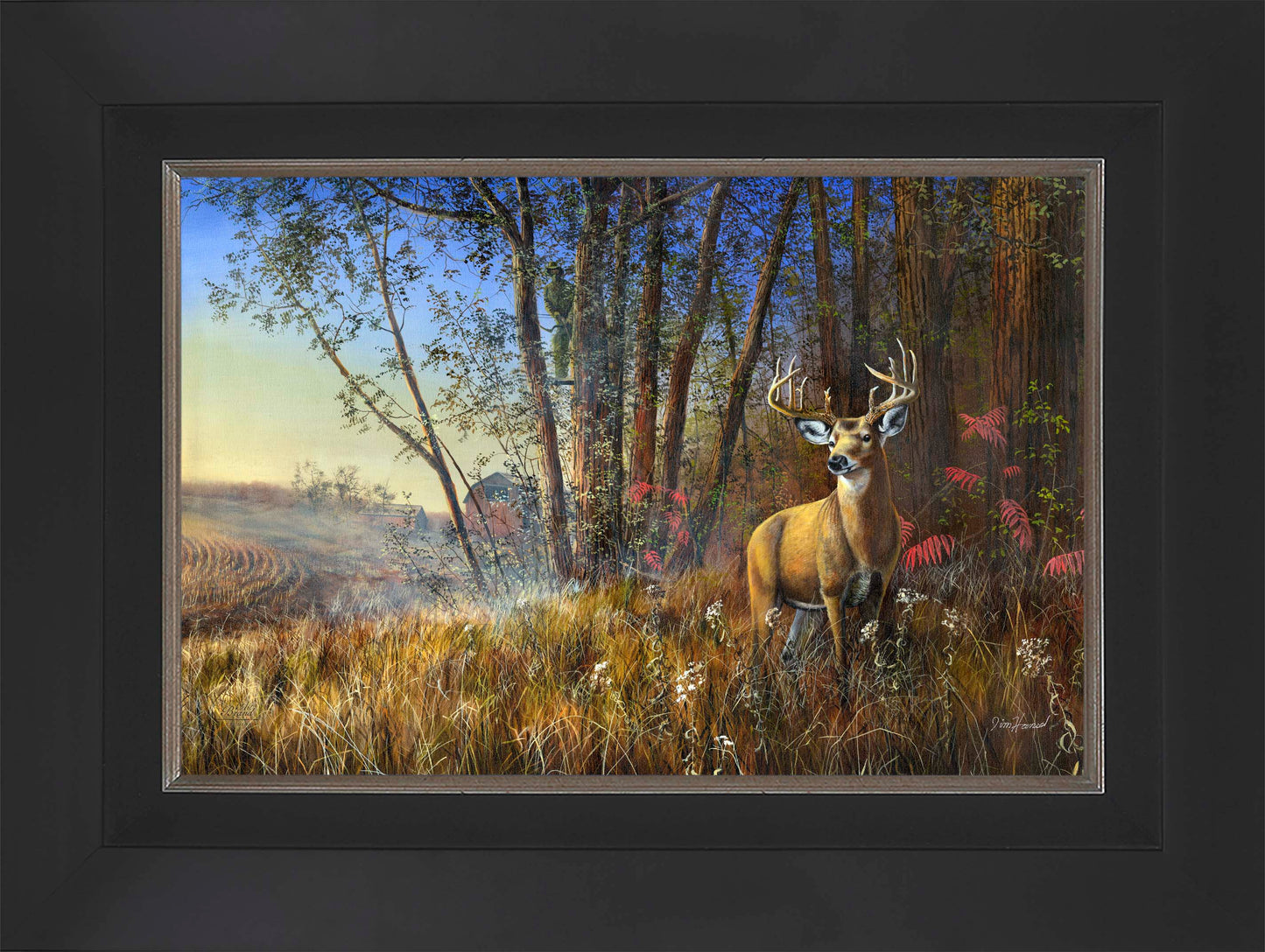 Misty Morning - Limited Edition Canvas