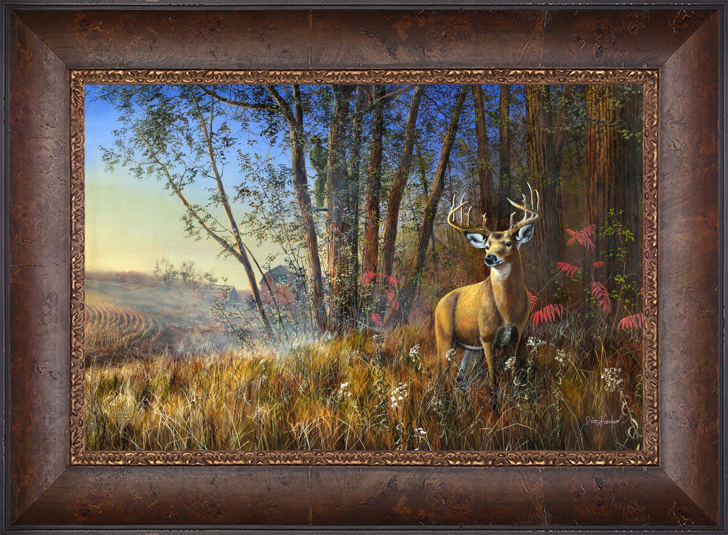 Misty Morning - Limited Edition Canvas