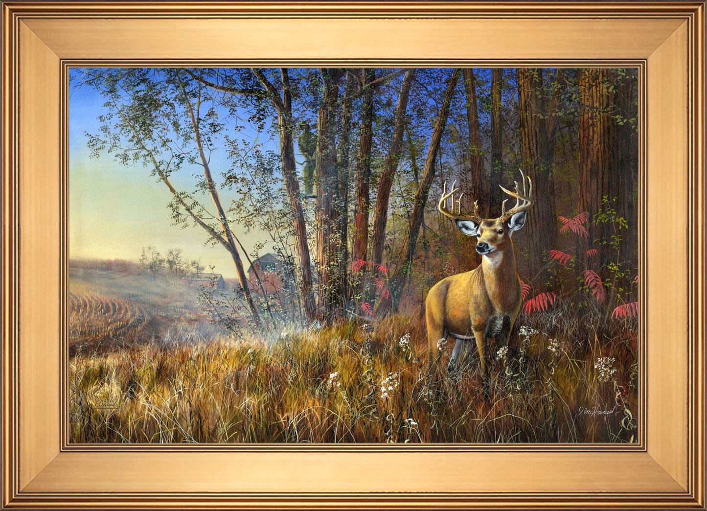 Misty Morning - Limited Edition Canvas