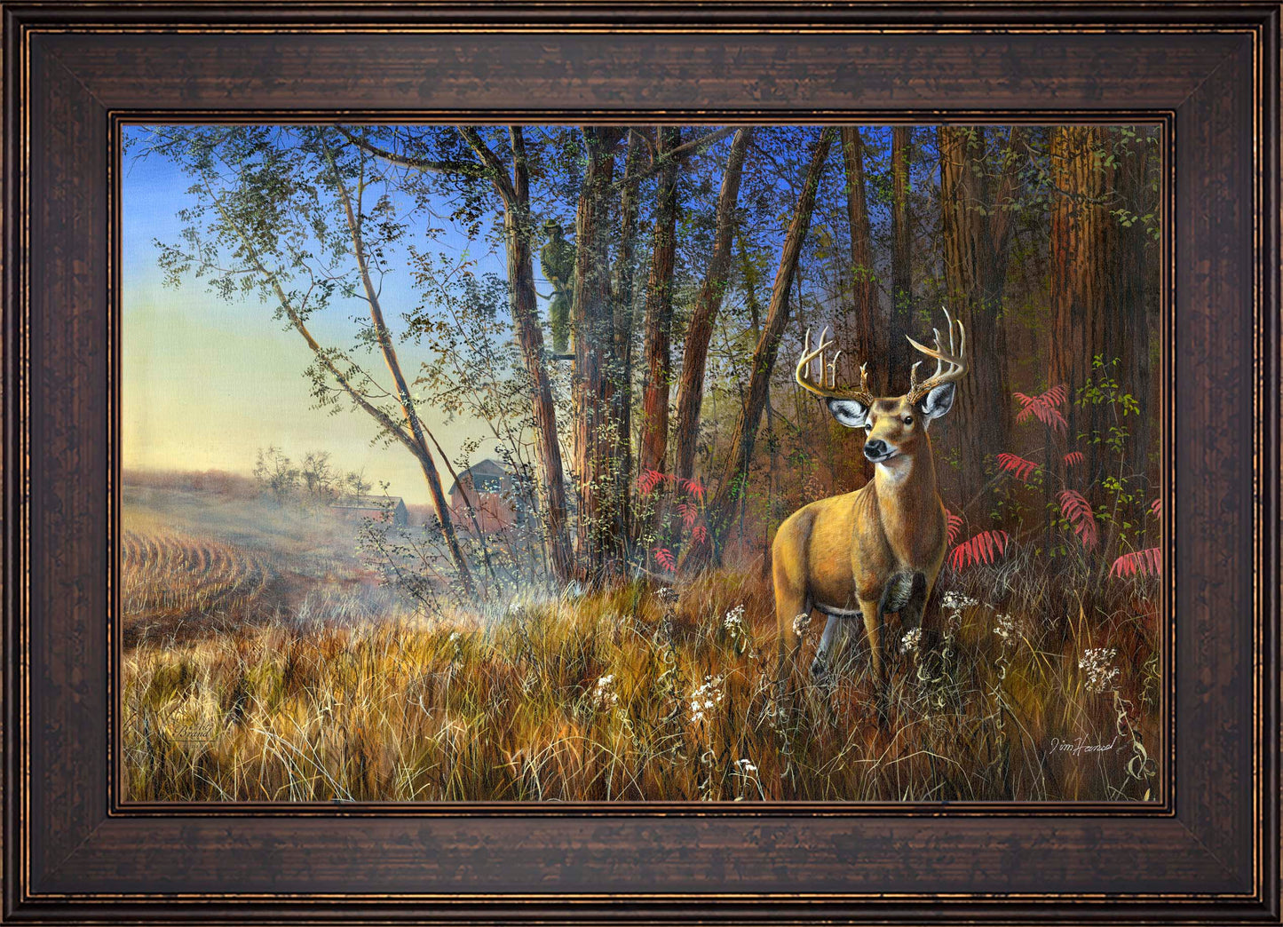 Misty Morning - Limited Edition Canvas