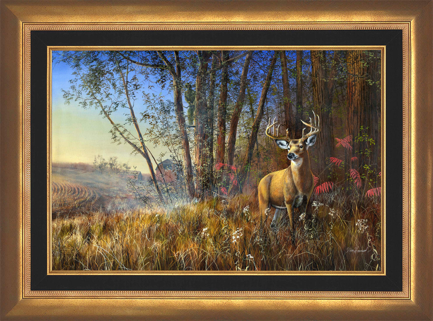 Misty Morning - Limited Edition Canvas