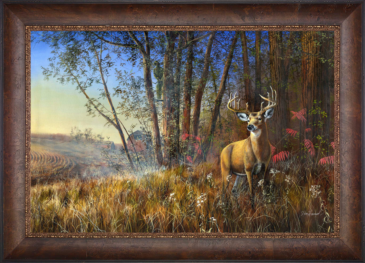 Misty Morning - Limited Edition Canvas