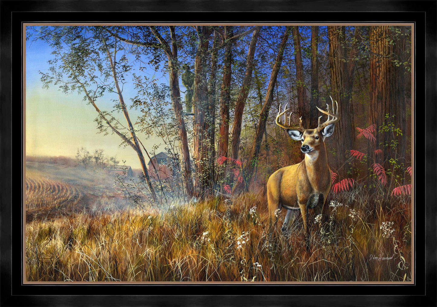 Misty Morning - Limited Edition Canvas