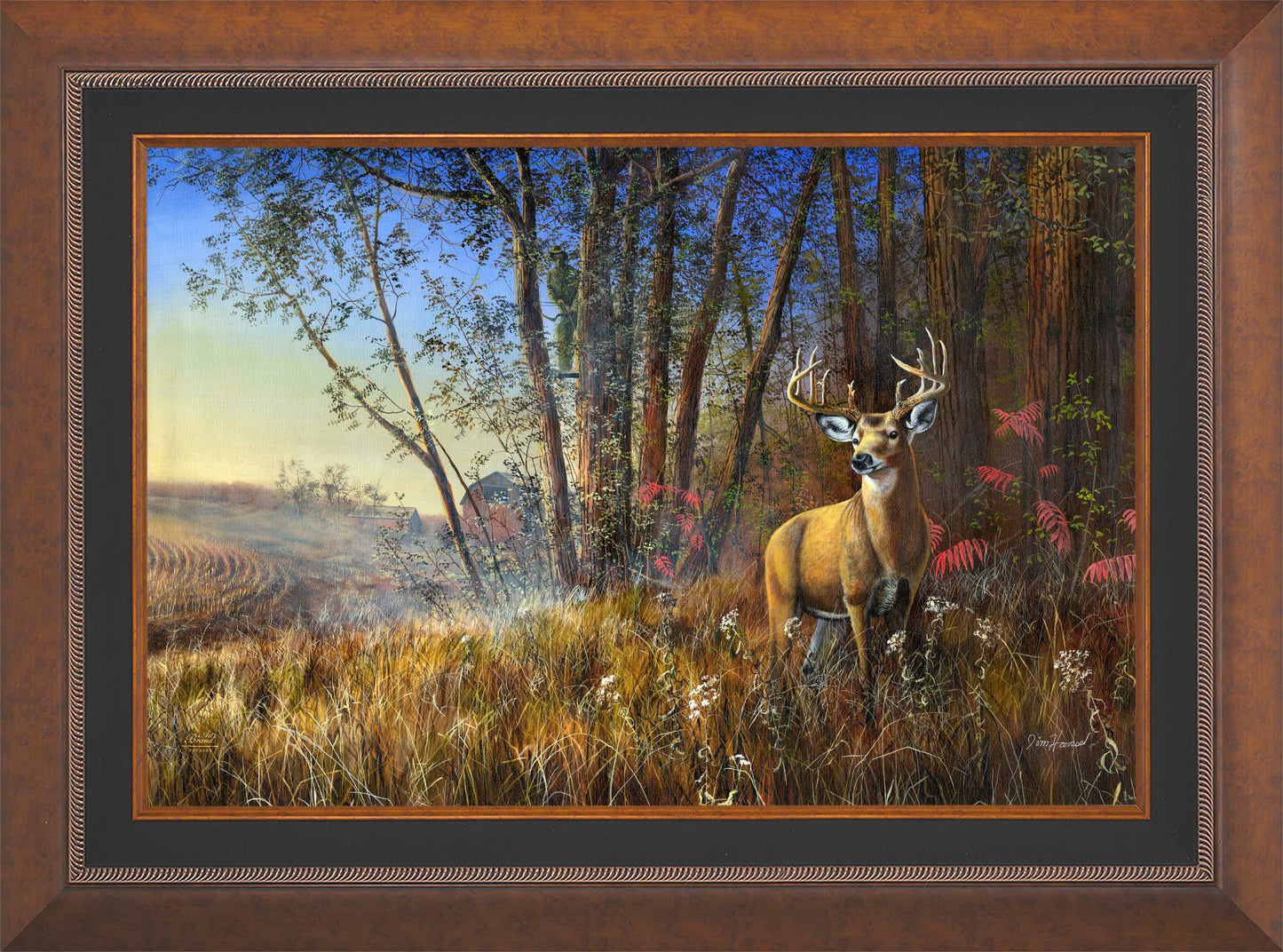 Misty Morning - Limited Edition Canvas