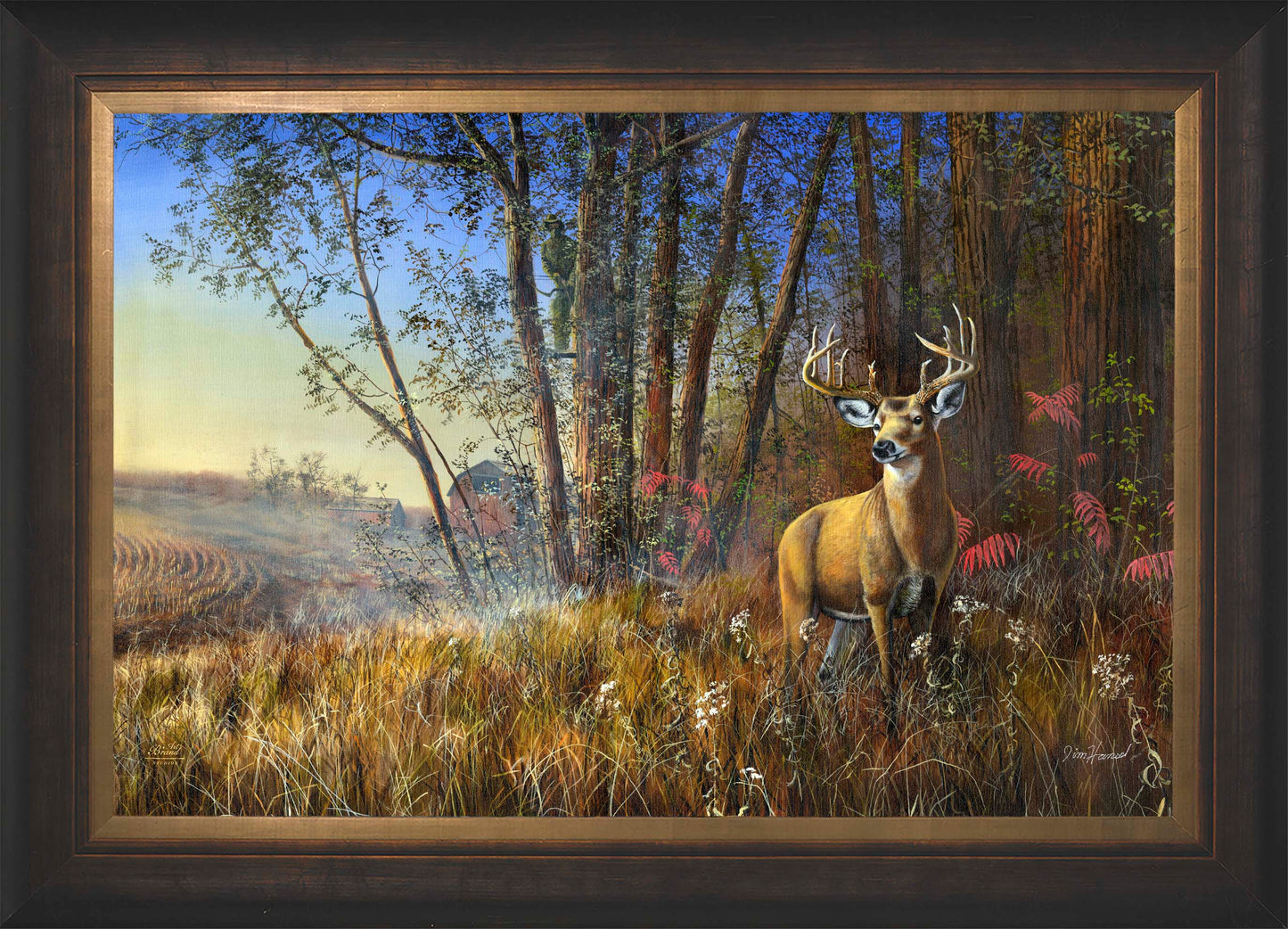Misty Morning - Limited Edition Canvas