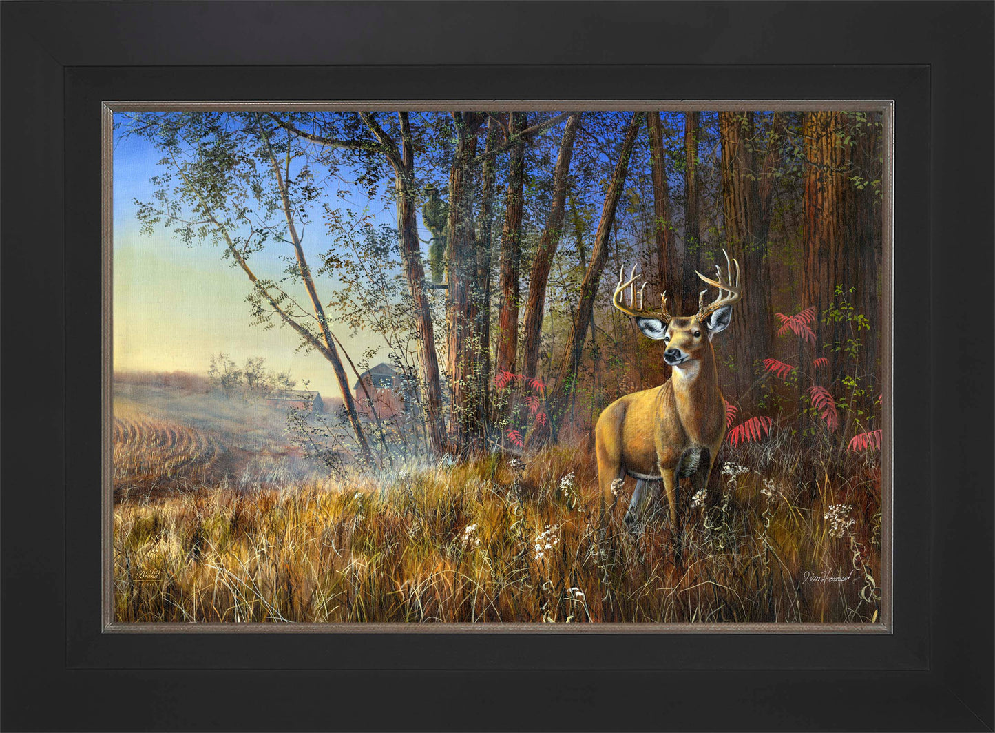 Misty Morning - Limited Edition Canvas