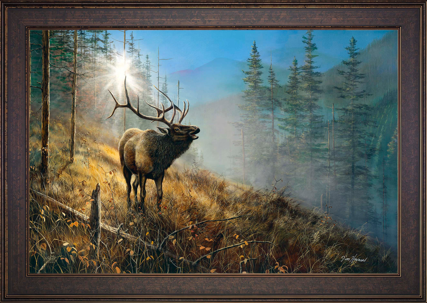 Song in the Mist - Limited Edition Canvas