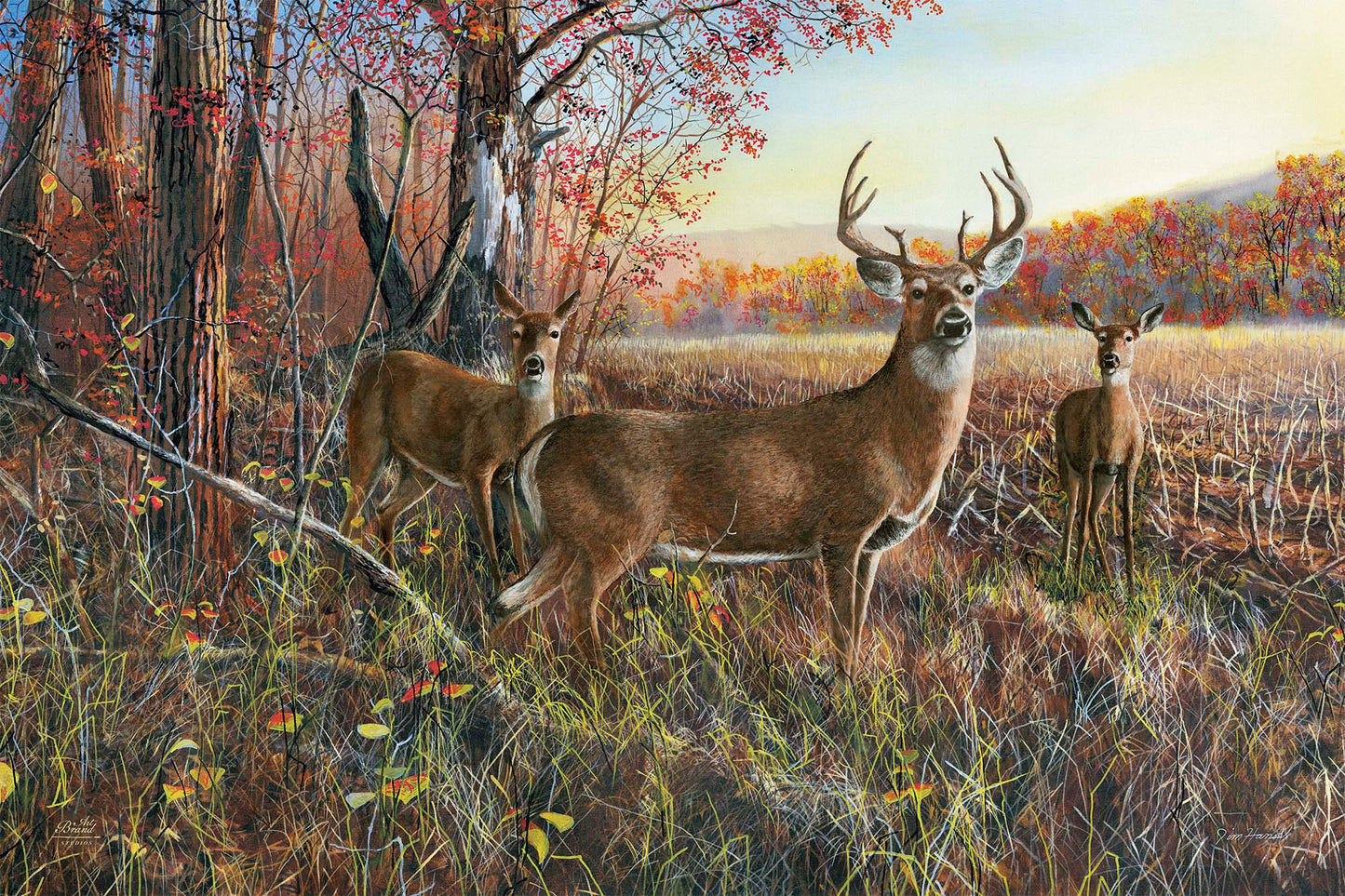 The Gathering - Limited Edition Canvas