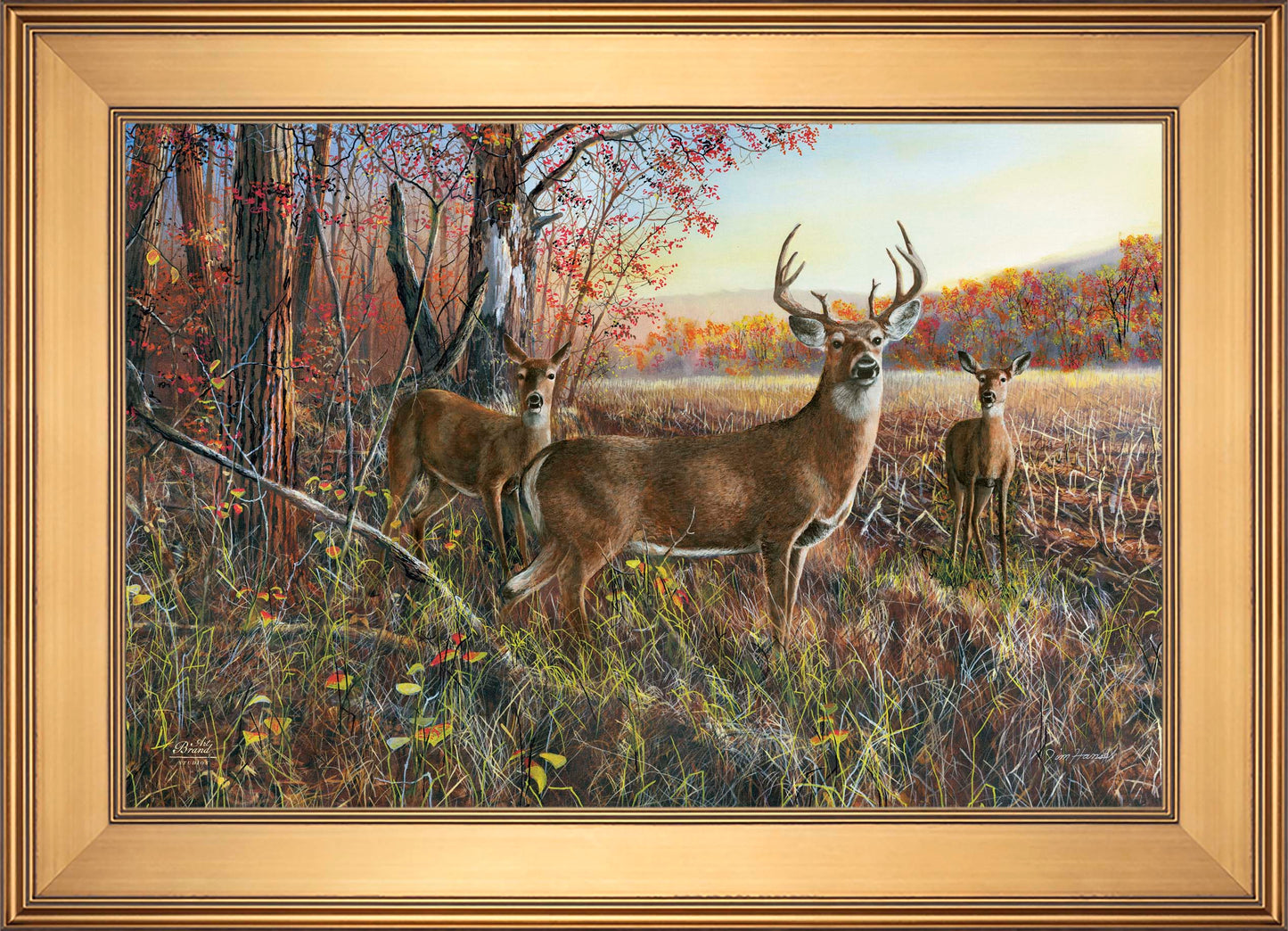 The Gathering - Limited Edition Canvas