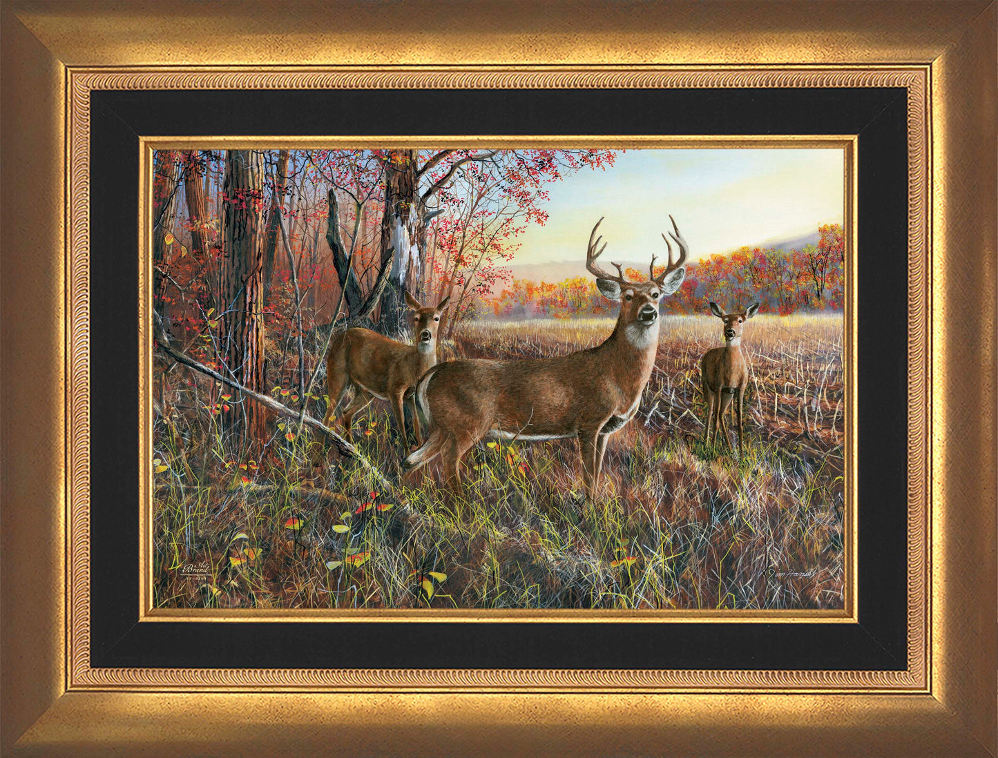 The Gathering - Limited Edition Canvas
