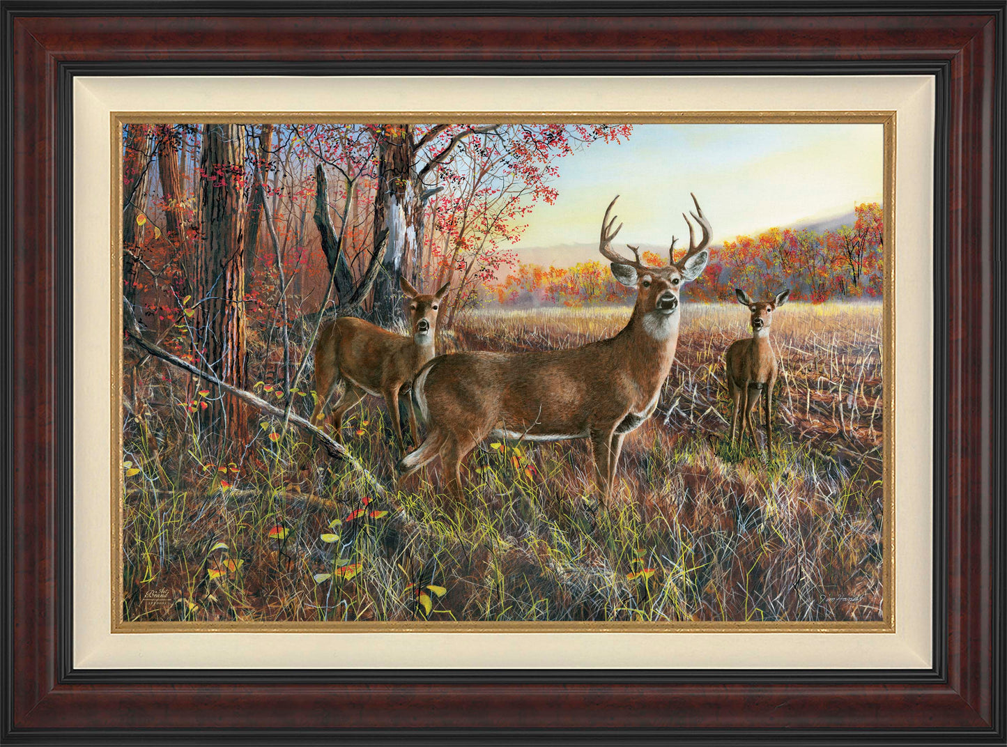 The Gathering - Limited Edition Canvas