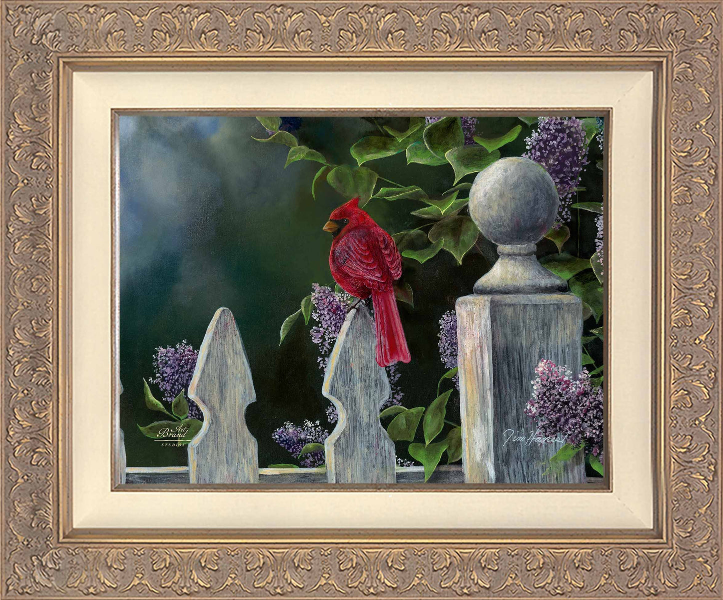 Birds Eye View-Cardinal - Limited Edition Canvas