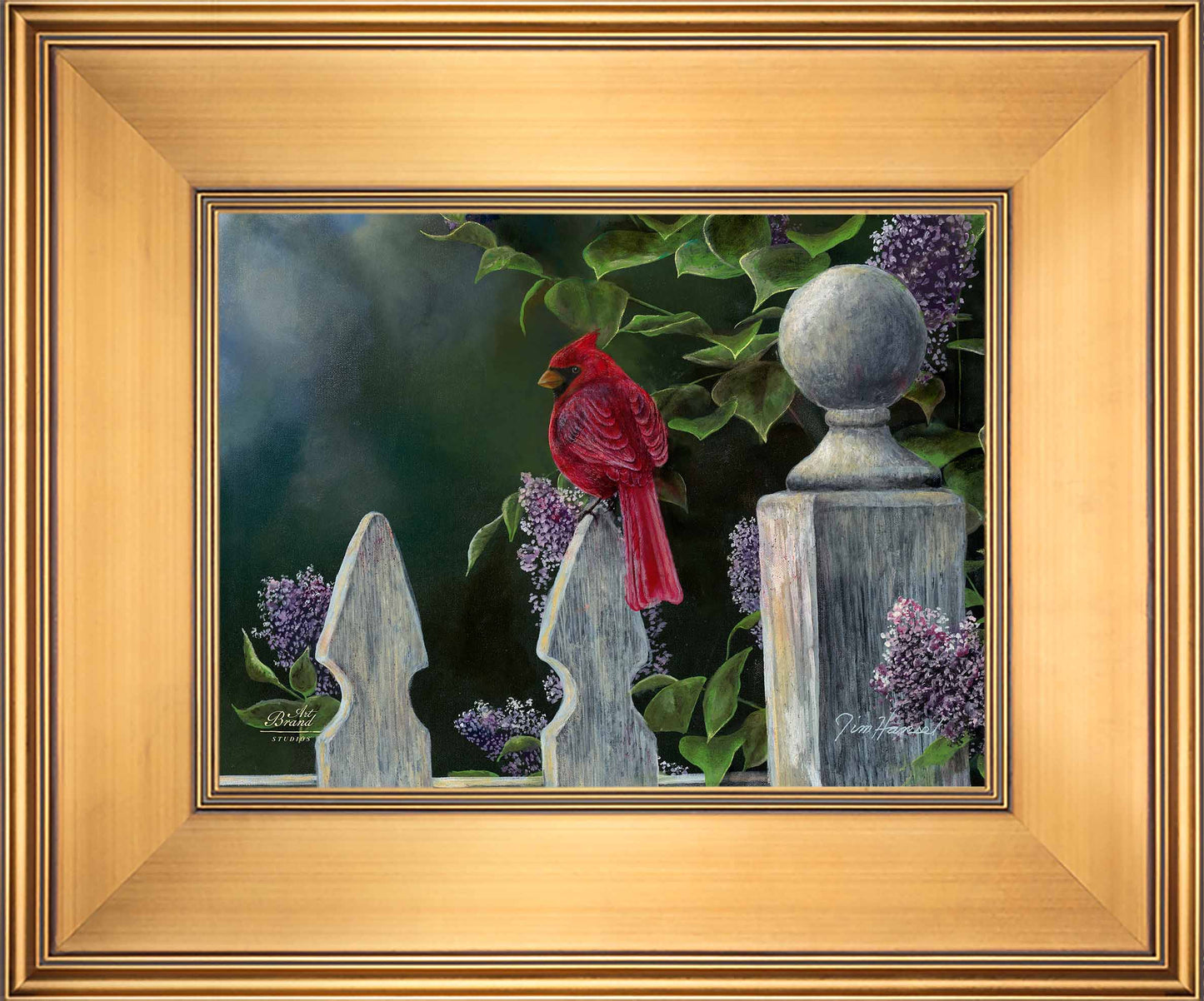 Birds Eye View-Cardinal - Limited Edition Canvas