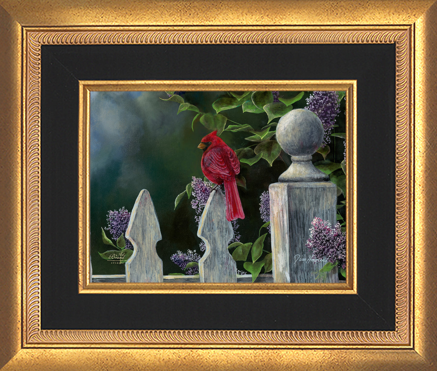 Birds Eye View-Cardinal - Limited Edition Canvas