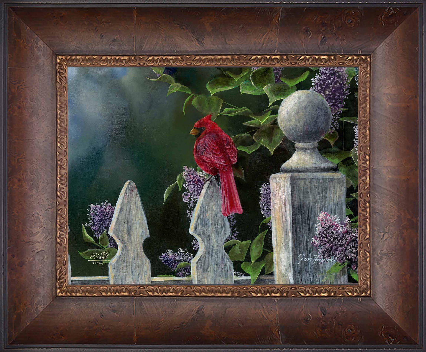 Birds Eye View-Cardinal - Limited Edition Canvas