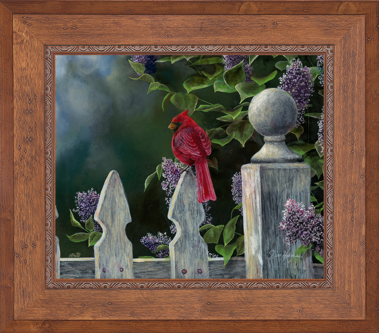 Birds Eye View-Cardinal - Limited Edition Canvas