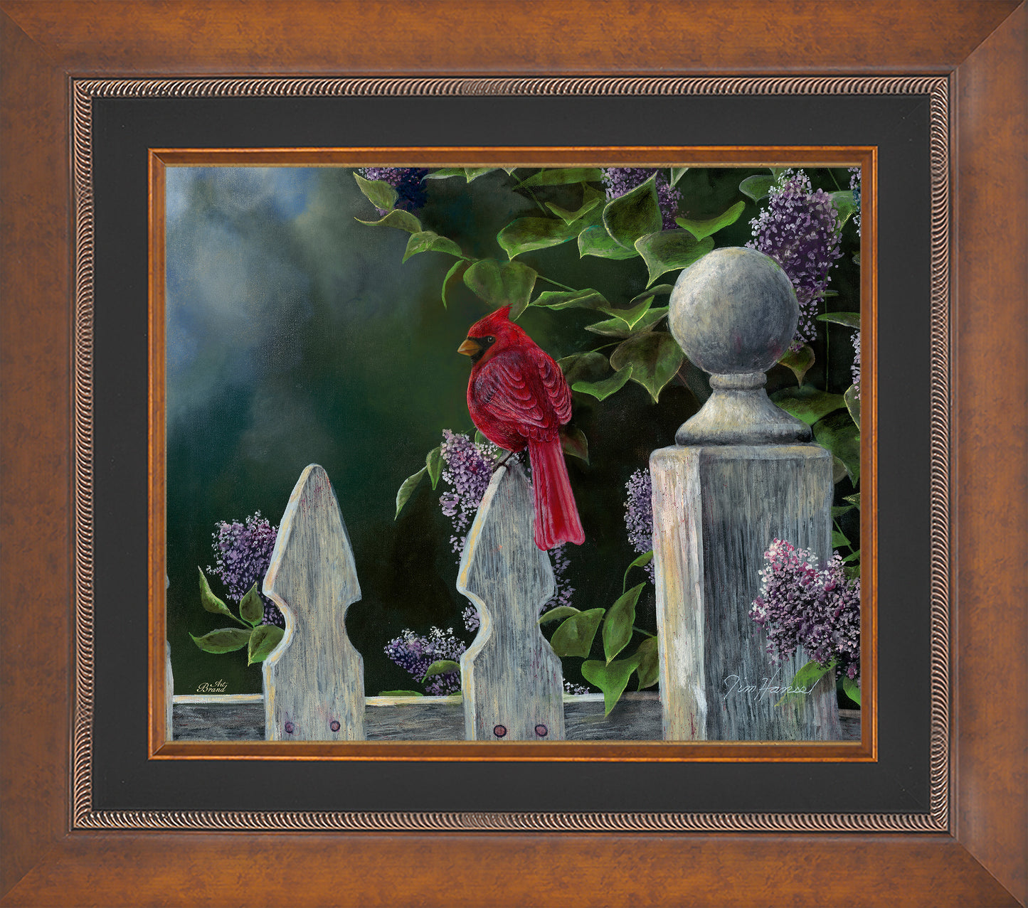 Birds Eye View-Cardinal - Limited Edition Canvas