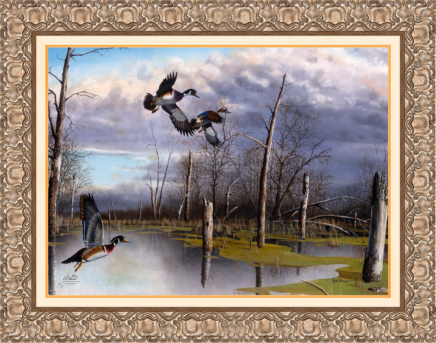 Backwater Woodies - Limited Edition Canvas