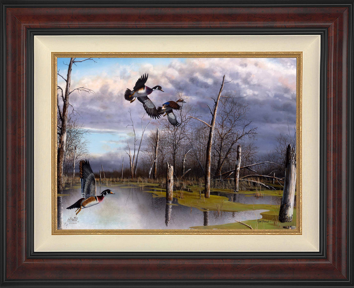 Backwater Woodies - Limited Edition Canvas