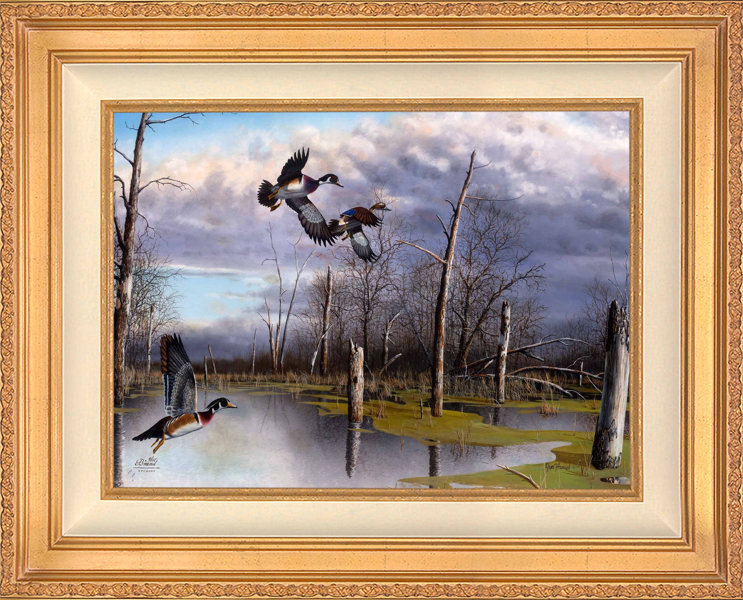 Backwater Woodies - Limited Edition Canvas