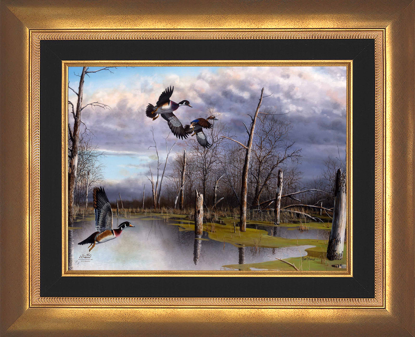Backwater Woodies - Limited Edition Canvas