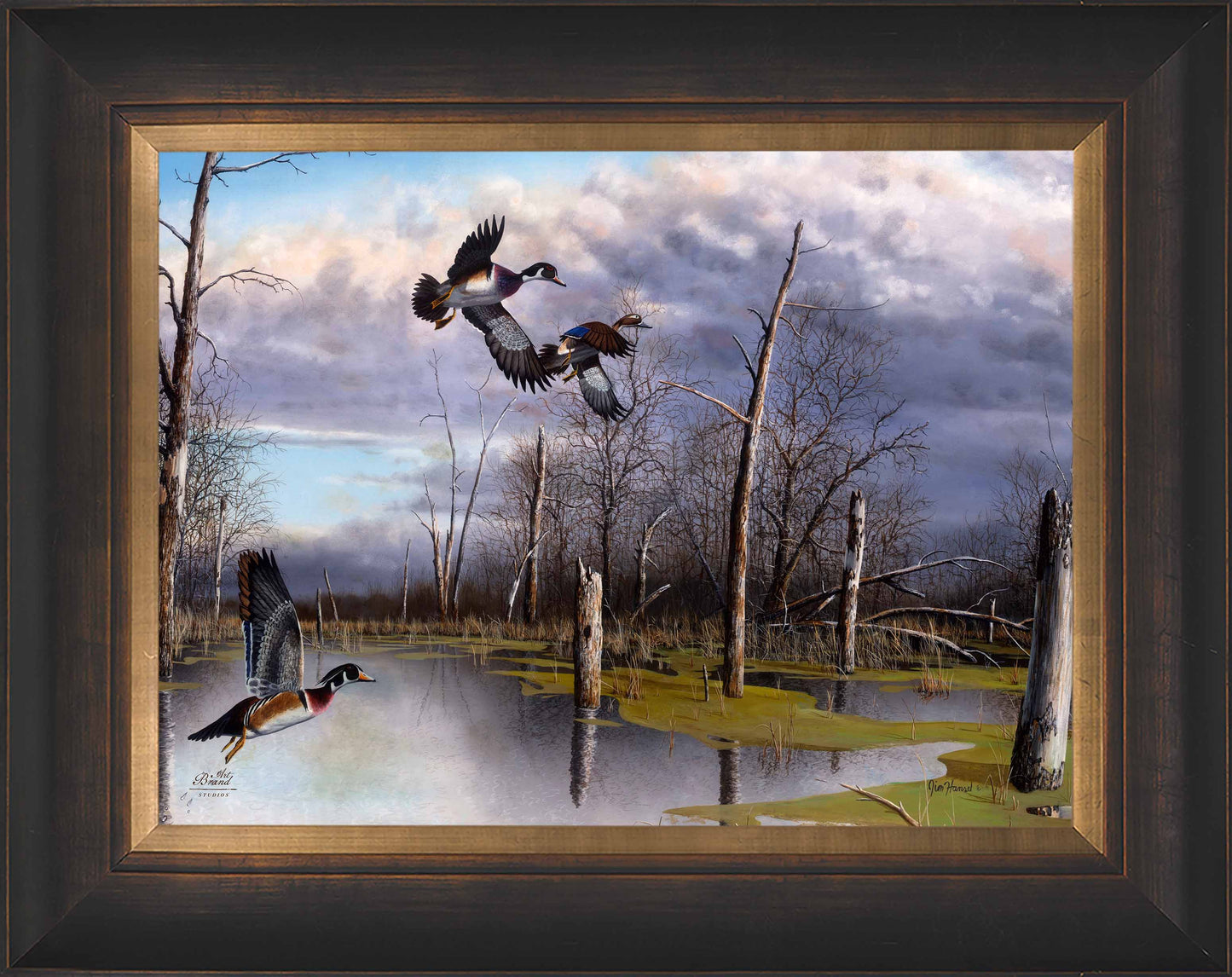 Backwater Woodies - Limited Edition Canvas