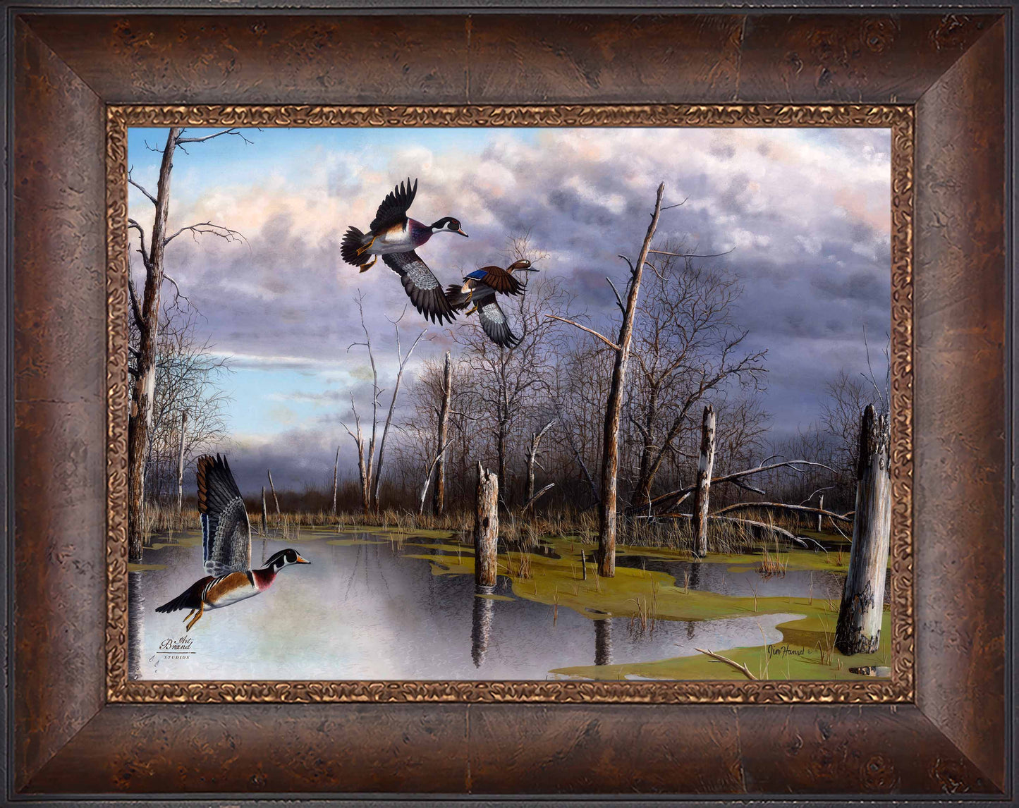 Backwater Woodies - Limited Edition Canvas