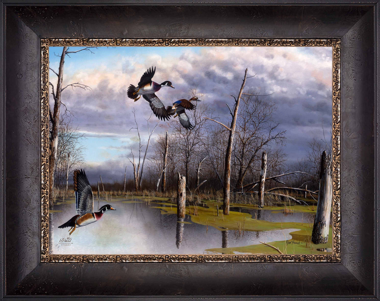 Backwater Woodies - Limited Edition Canvas