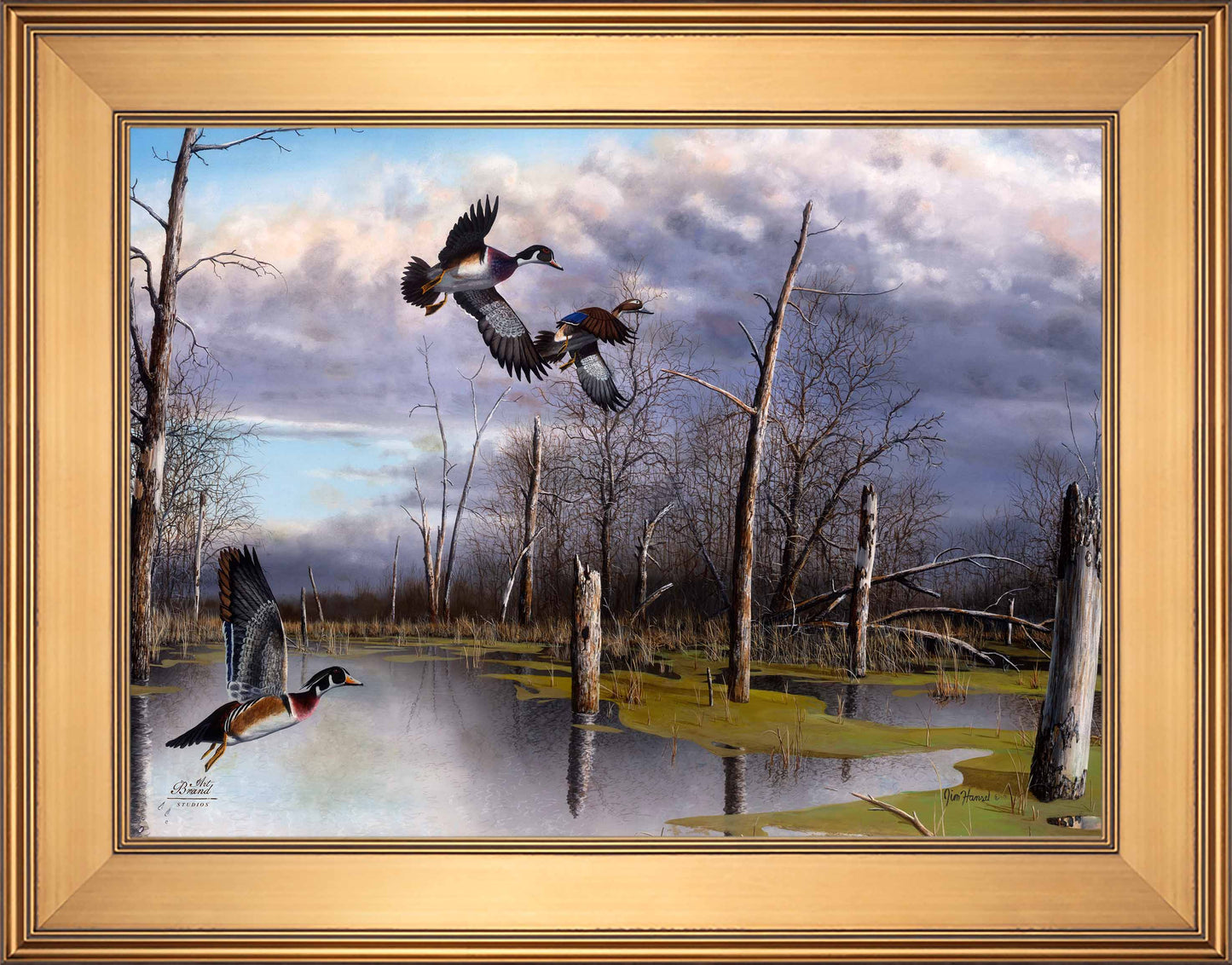Backwater Woodies - Limited Edition Canvas