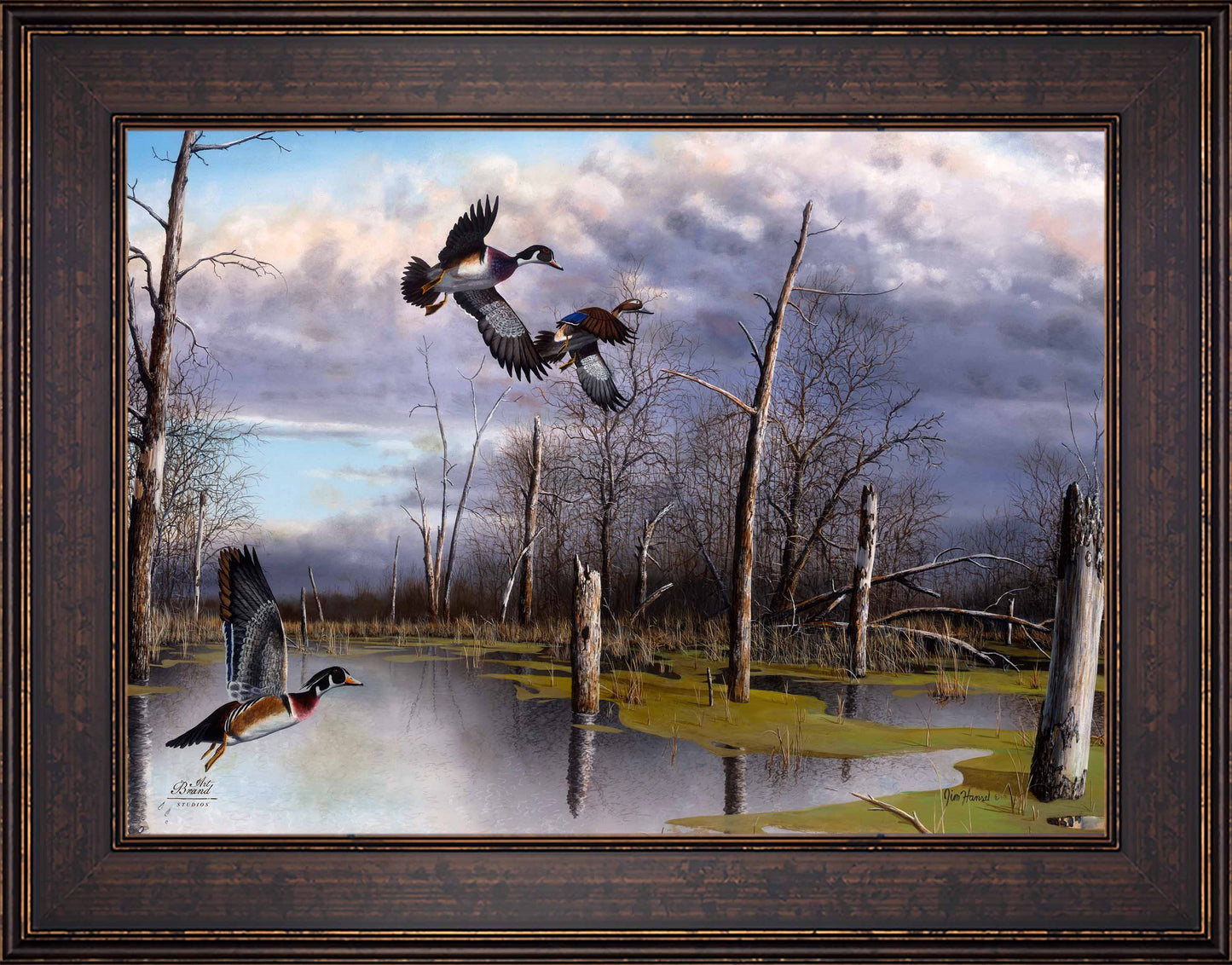 Backwater Woodies - Limited Edition Canvas
