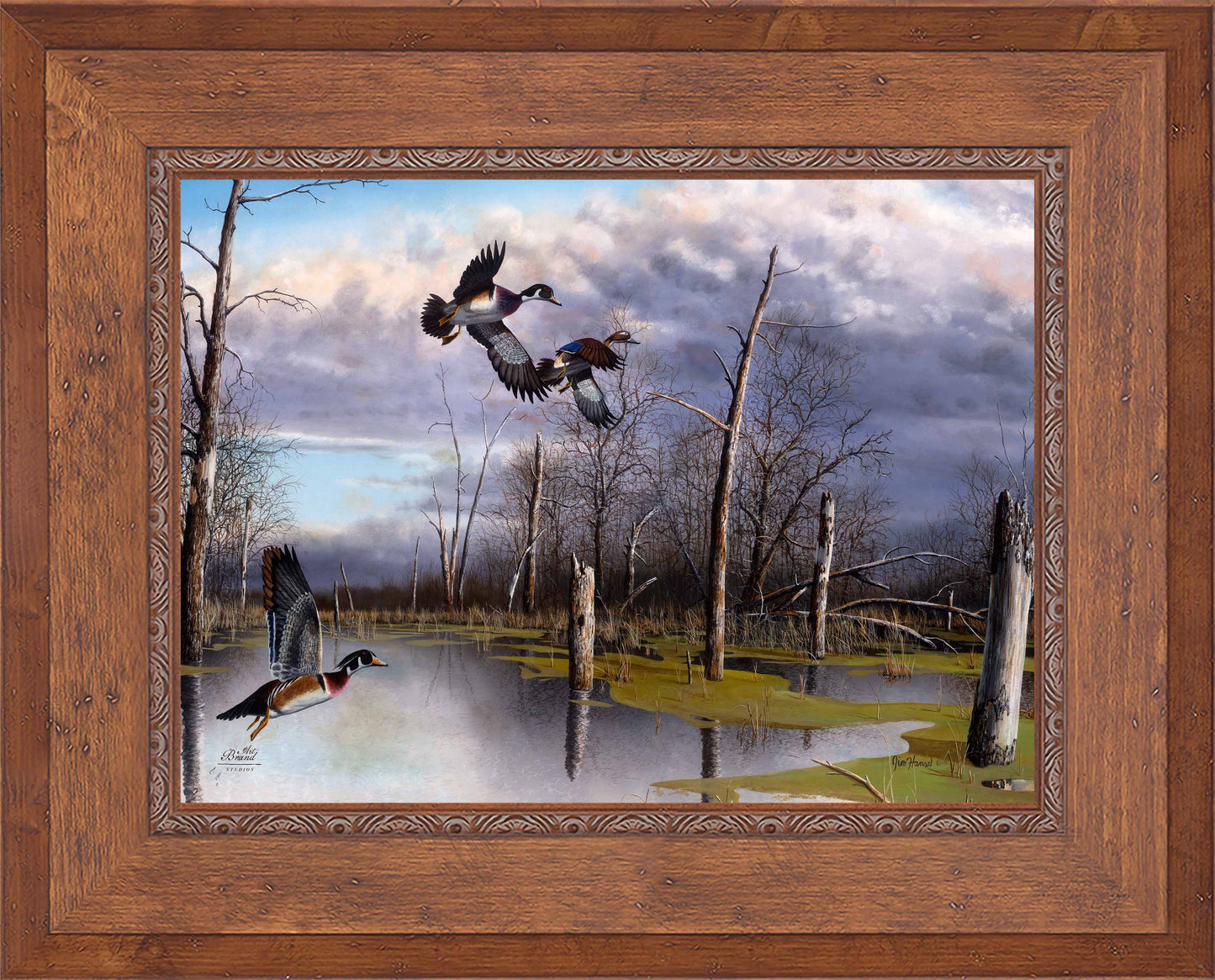 Backwater Woodies - Limited Edition Canvas