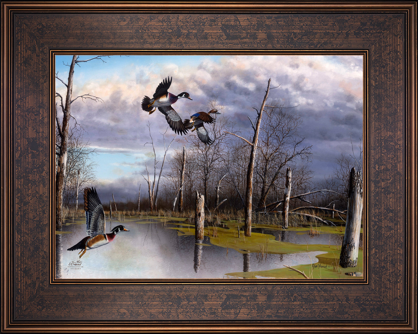 Backwater Woodies - Limited Edition Canvas
