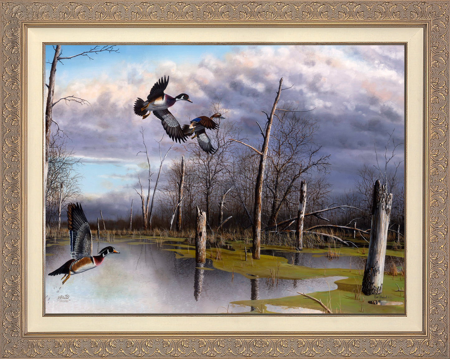 Backwater Woodies - Limited Edition Canvas