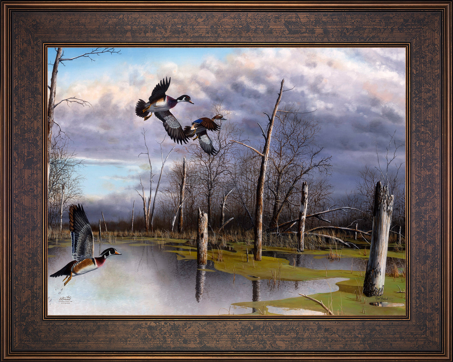 Backwater Woodies - Limited Edition Canvas