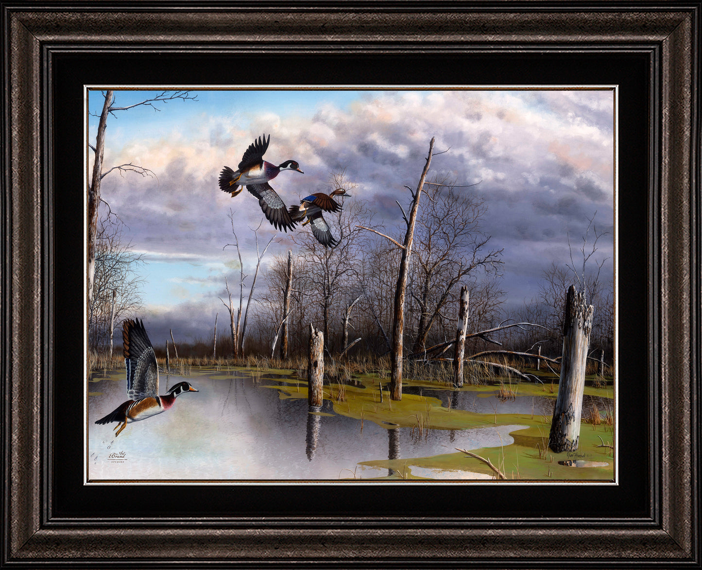 Backwater Woodies - Limited Edition Canvas
