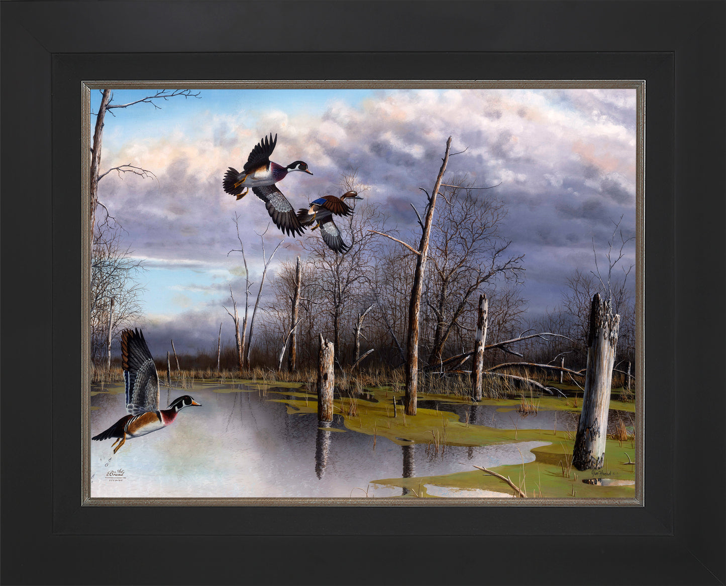 Backwater Woodies - Limited Edition Canvas