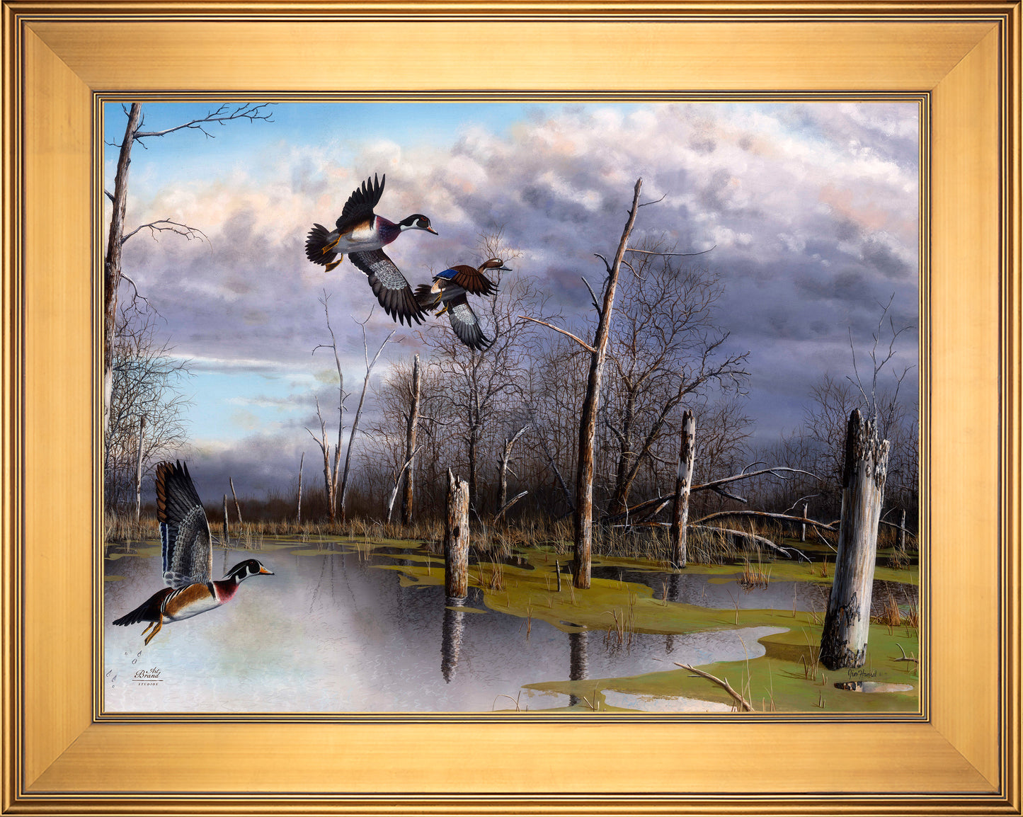 Backwater Woodies - Limited Edition Canvas