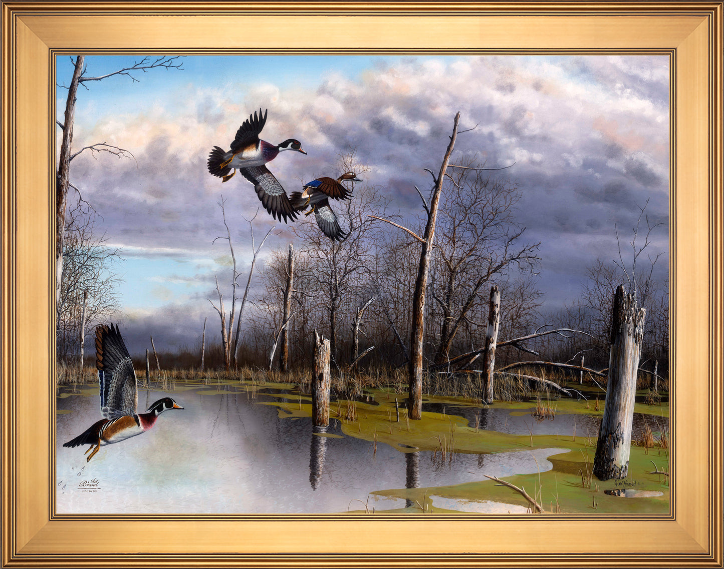 Backwater Woodies - Limited Edition Canvas