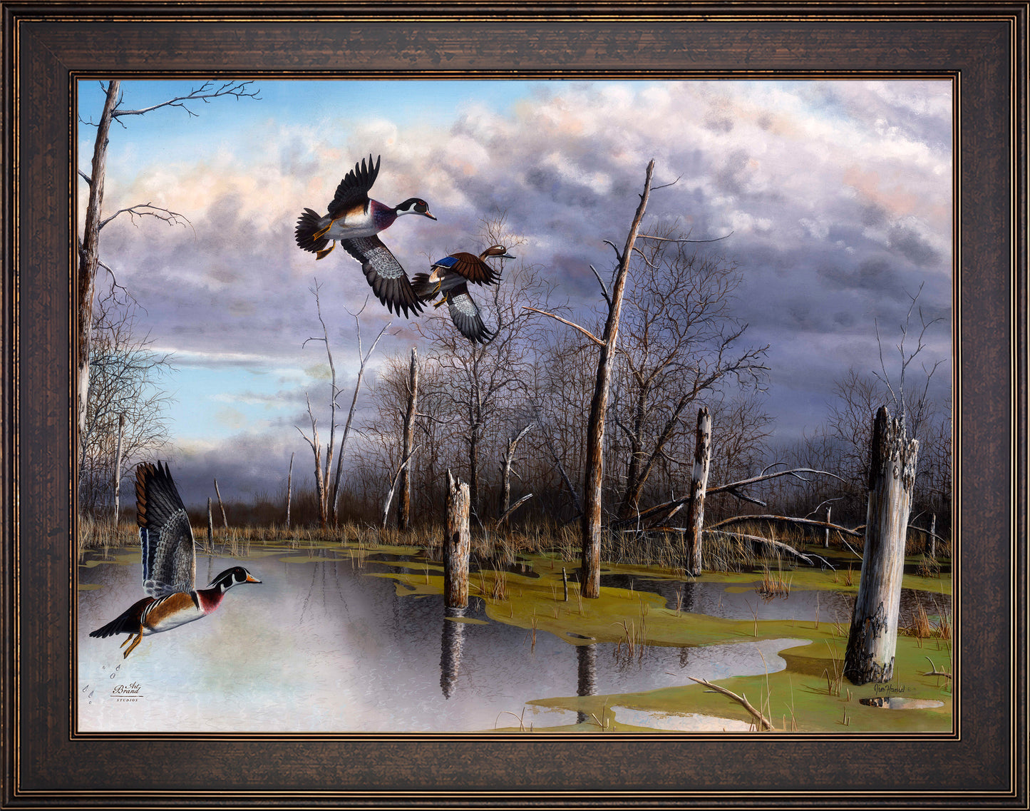 Backwater Woodies - Limited Edition Canvas