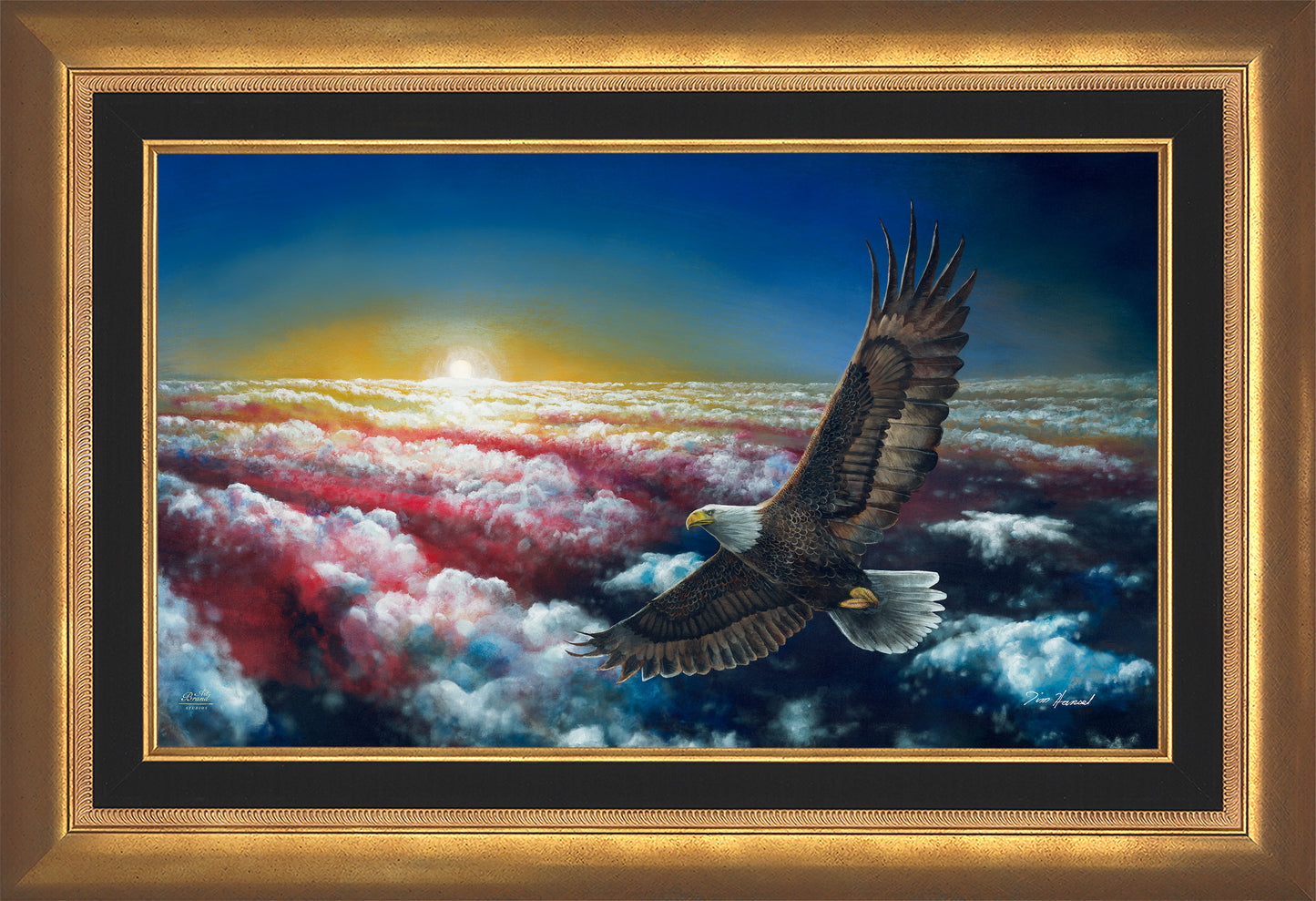 Land Of The Free - Limited Edition Canvas