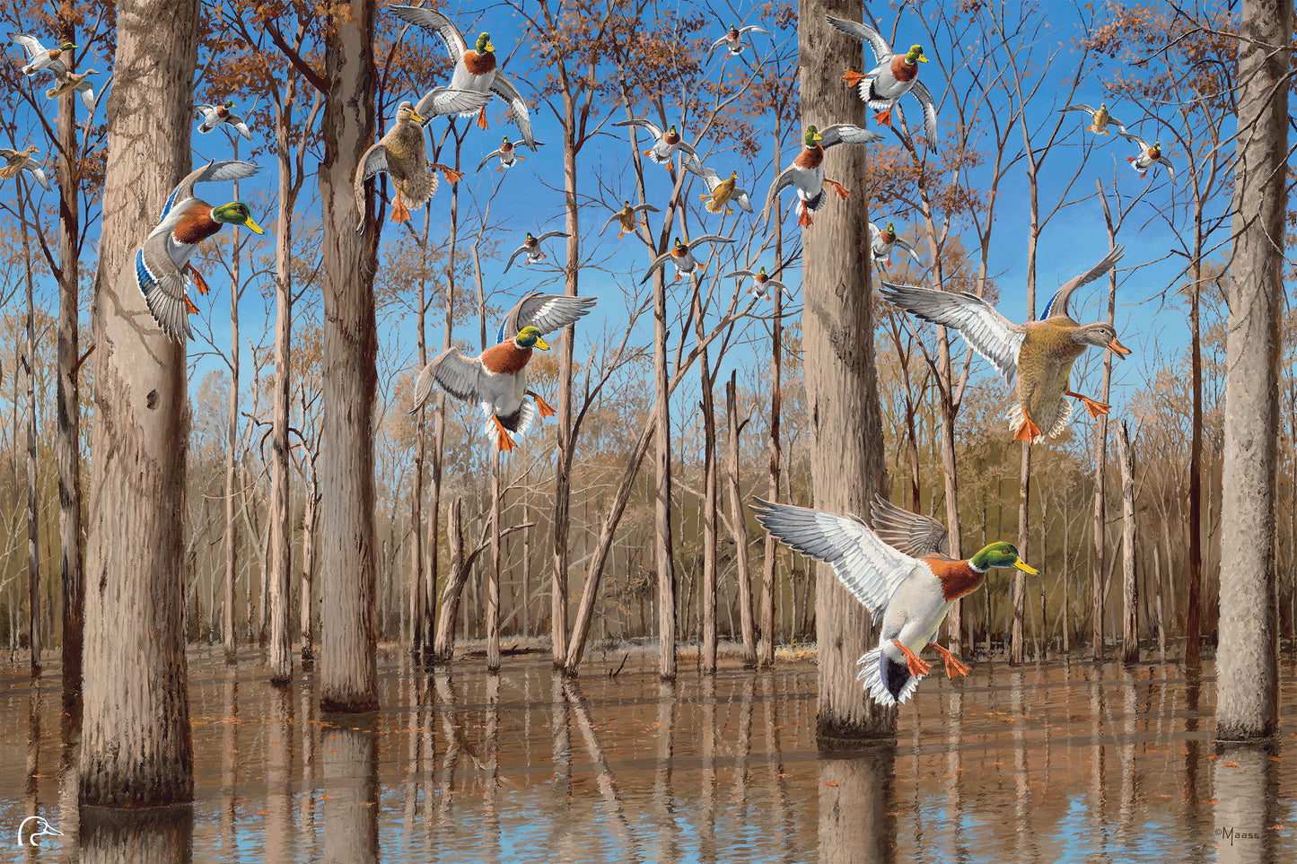 Down from the North - Mallards Limited Edition Canvas - Official Ducks Unlimited Art