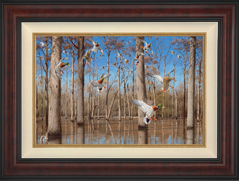 Down from the North - Mallards Limited Edition Canvas - Official Ducks Unlimited Art