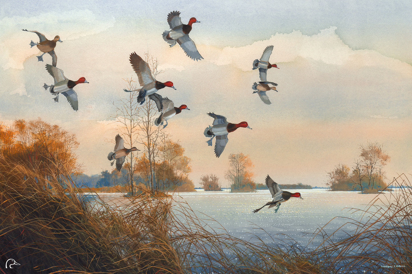 Redheads Redoubt Limited Edition Canvas - Official Ducks Unlimited Art