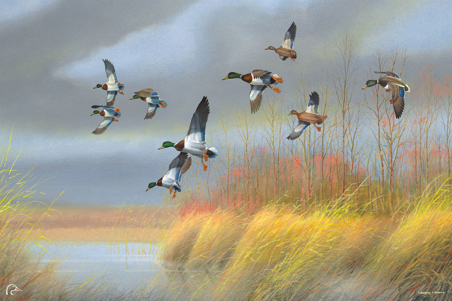 Returning Home - Mallards Limited Edition Canvas - Official Ducks Unlimited Art