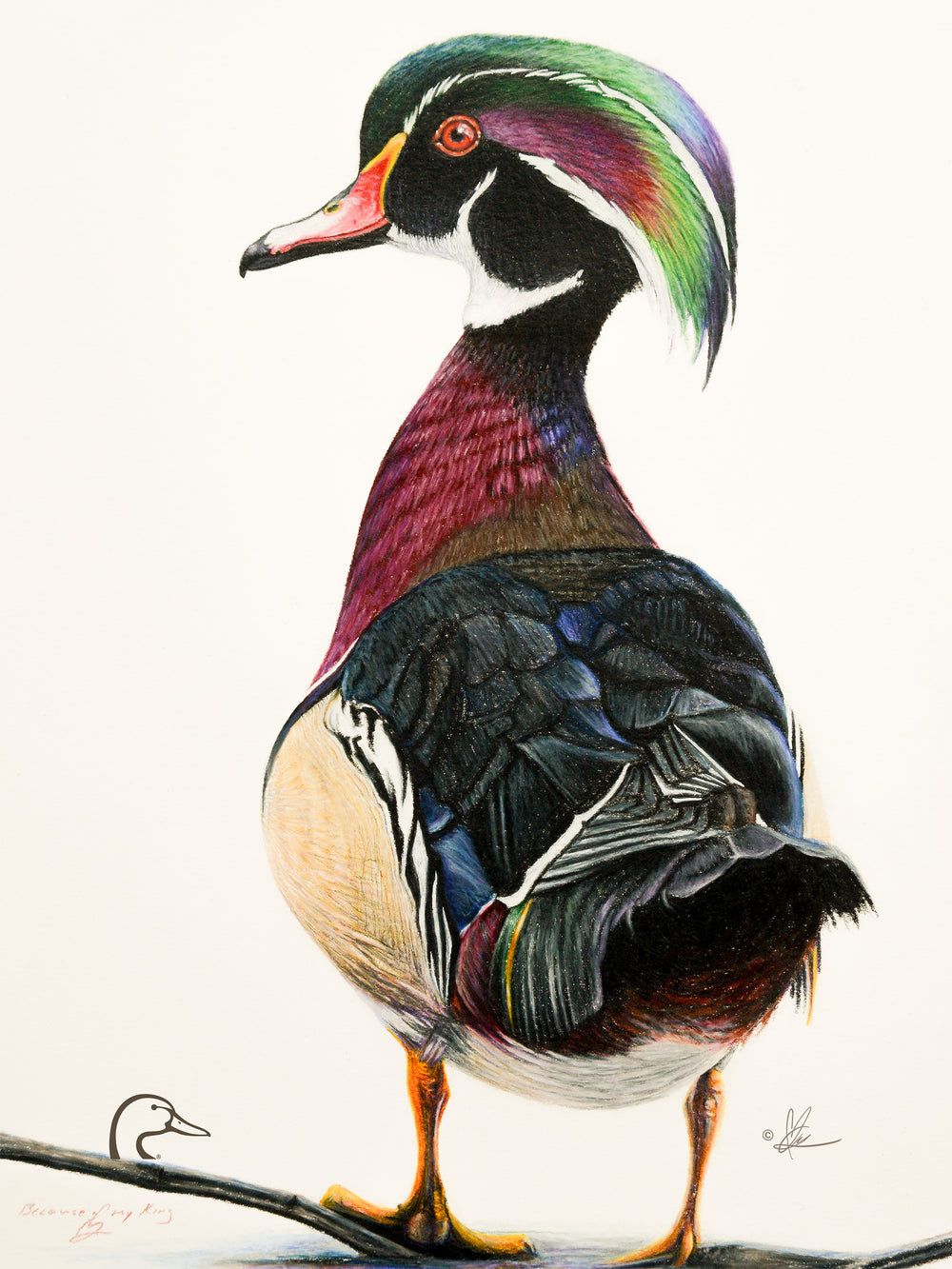 Woody Limited Edition Canvas - Official Ducks Unlimited