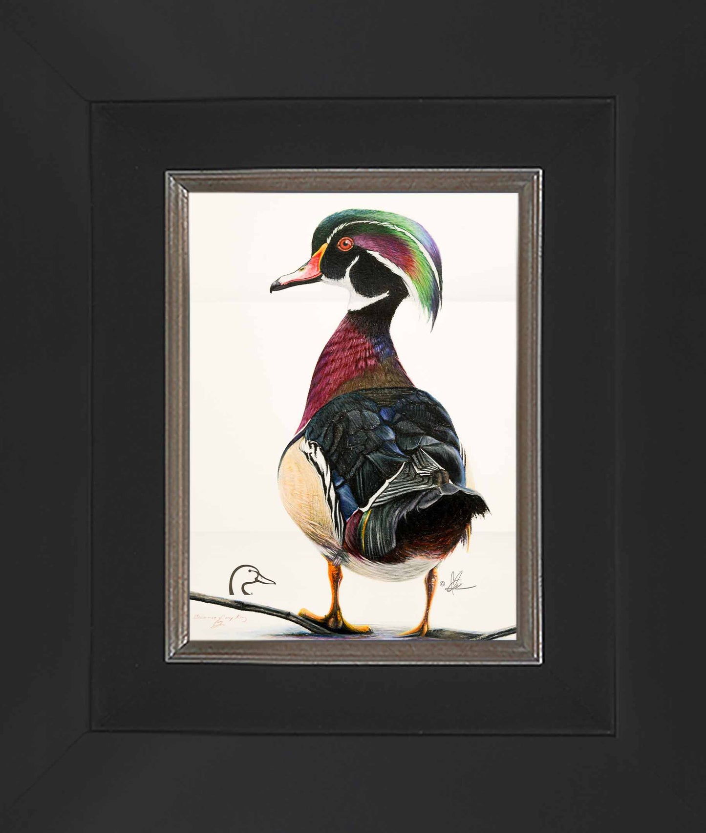 Woody Limited Edition Canvas - Official Ducks Unlimited