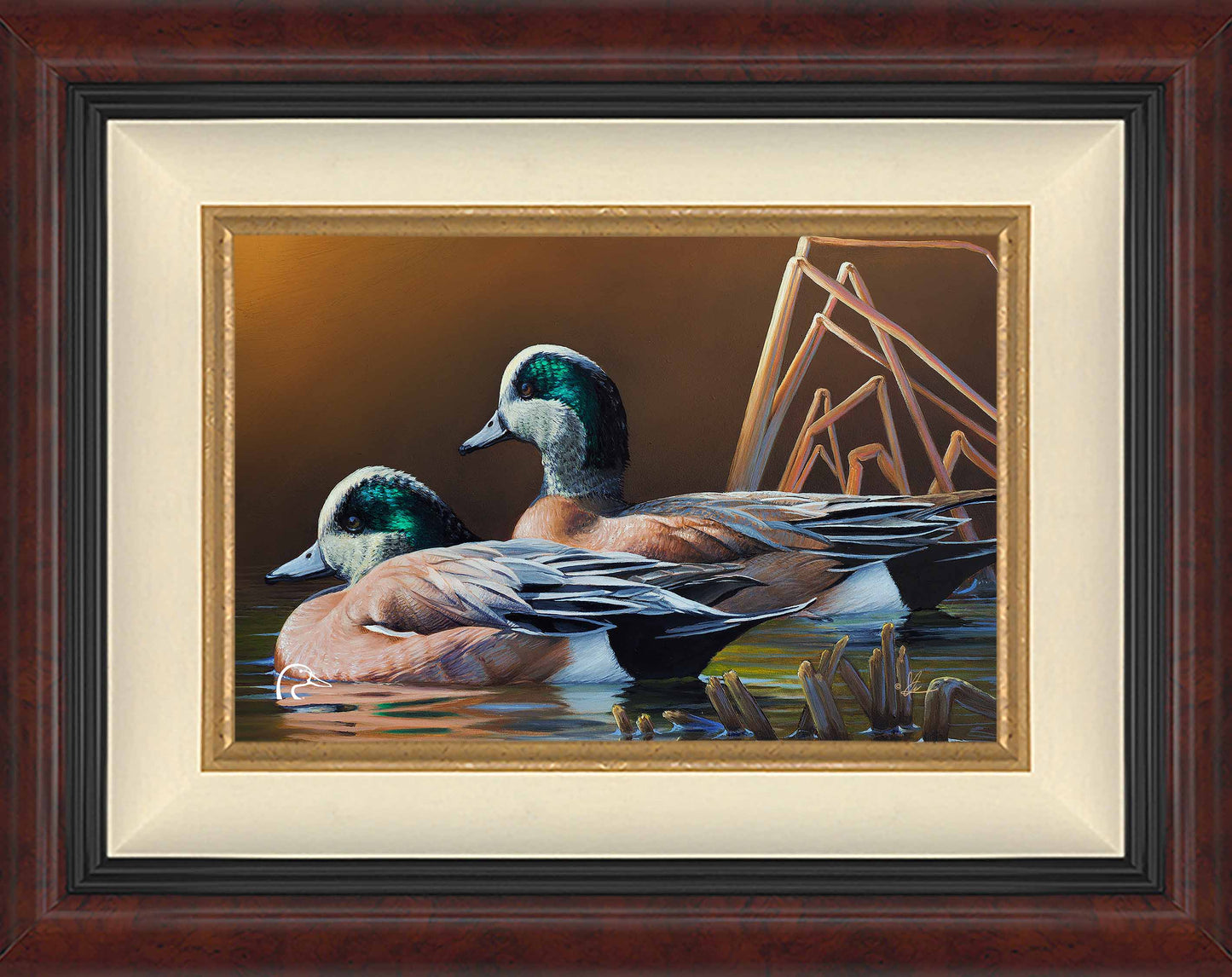 American Widgeon Limited Edition Canvas - Official Ducks Unlimited