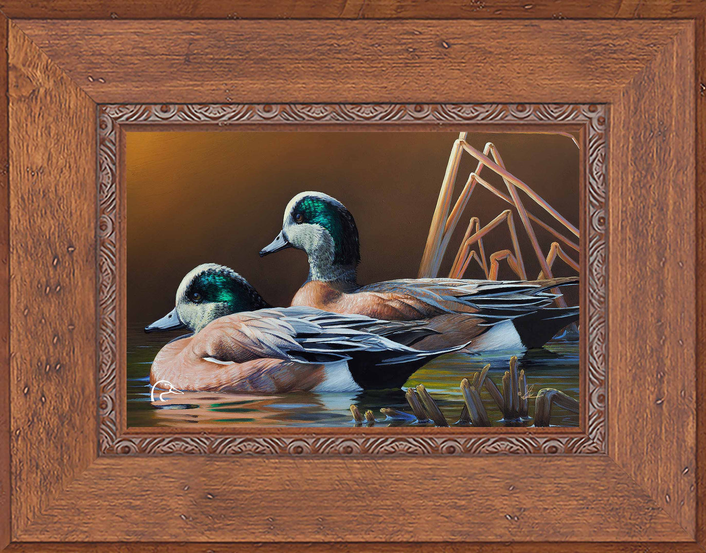 American Widgeon Limited Edition Canvas - Official Ducks Unlimited