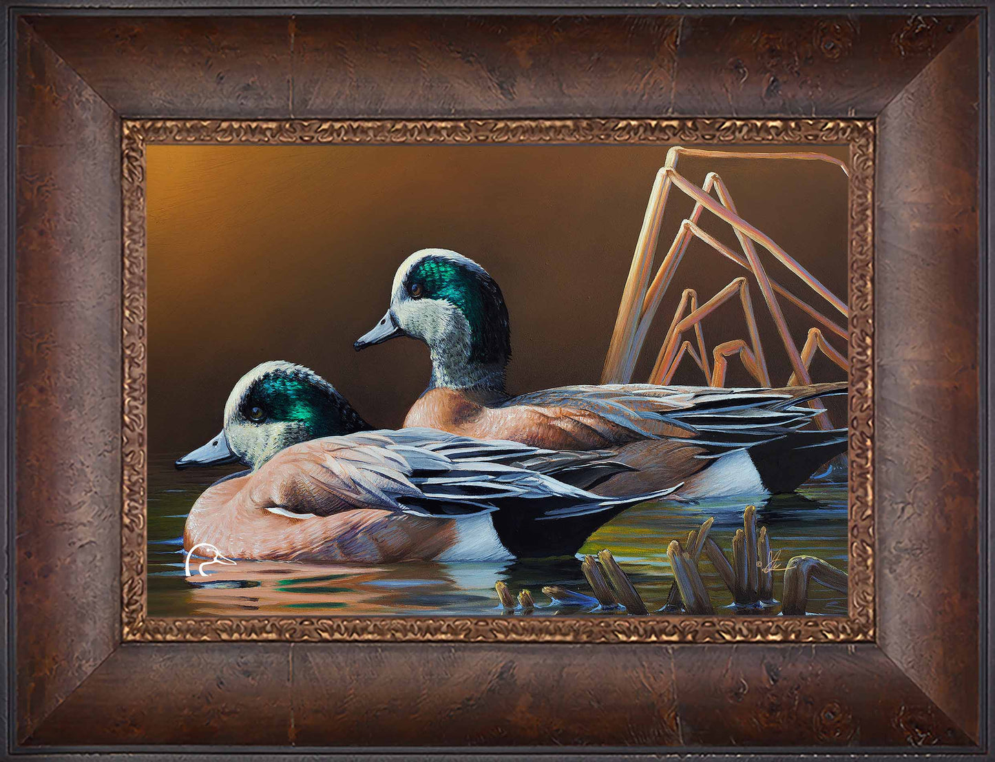 American Widgeon Limited Edition Canvas - Official Ducks Unlimited